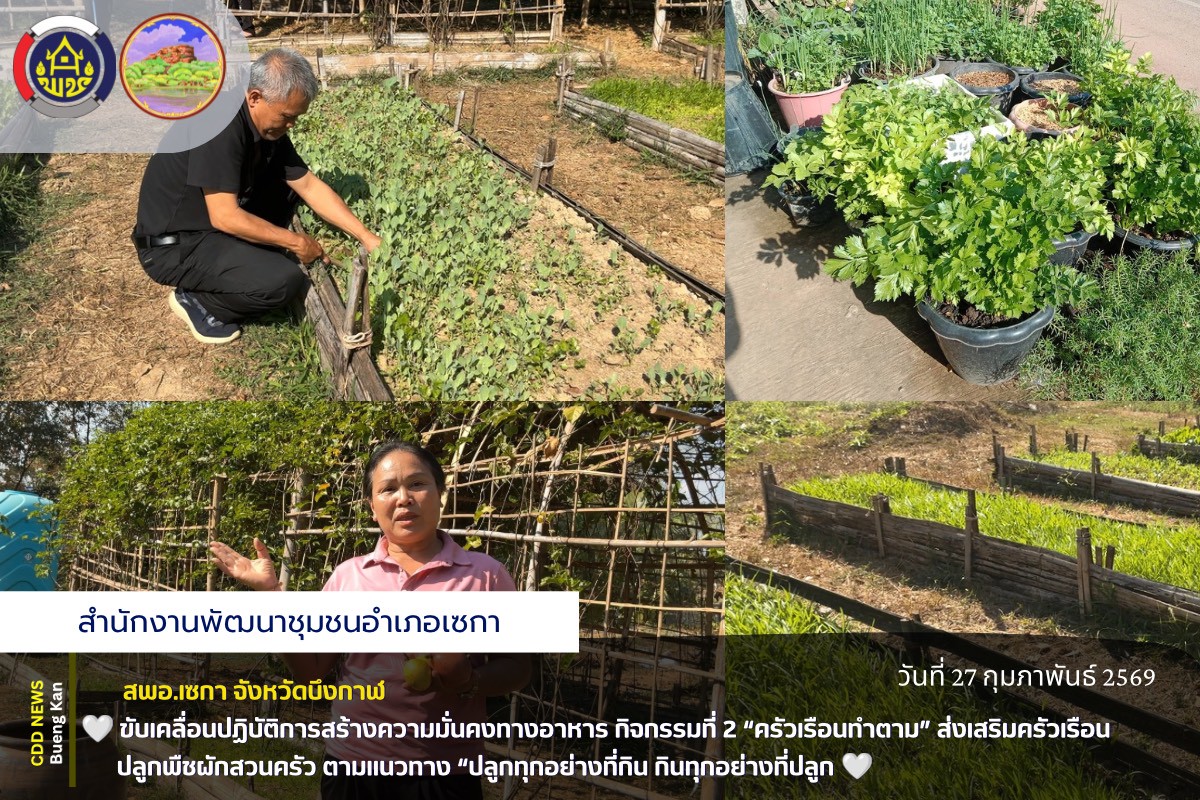 🏠สพอ.เซกา : ขับเคลื่อนปฏิบัติการสร้างความมั่นคงทางอาหาร กิจกรรมที่ 2 “ครัวเรือนทำตาม” ส่งเสริมครัวเรือนปลูกพืชผักสวนครัว ตามแนวทาง “ปลูกทุกอย่างที่กิน กินทุกอย่างที่ปลูก